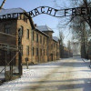 Aushwitz Birkenau