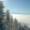 Kluszkowce