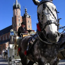 Kraków i okolice