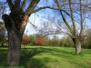 Kraków - park