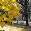 Kraków - Planty / Planty Park fot. P. Kubik