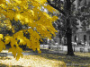 Kraków - Planty / Planty Park fot. P. Kubik