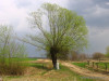 Roztocze