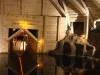 Wieliczka Salt Mine / Kopalnia Soli w Wieliczce Wieliczka Salt Mine / Kopalnia Soli w Wieliczce
