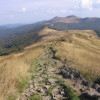 With the wind in your hair by mountain pastures